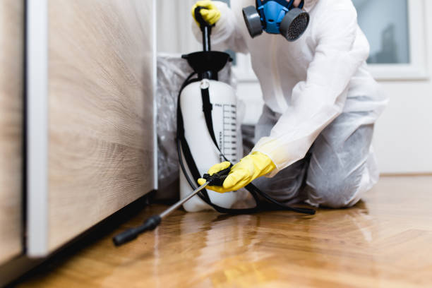 Professional Pest Control in Rittman, OH
