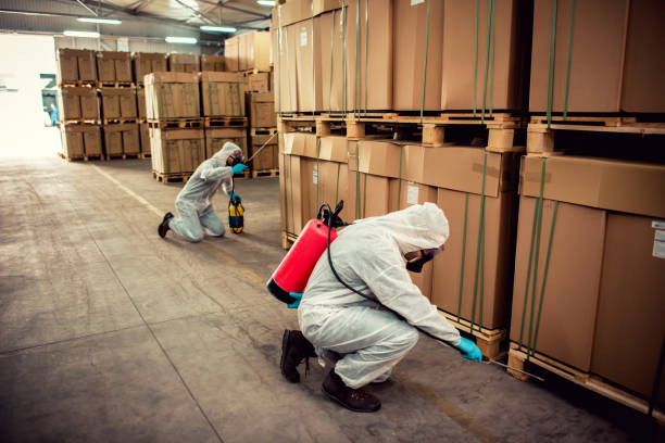 Best Pest Inspection Near Me  in Rittman, OH