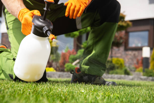 Best Local Pest Control Services  in Rittman, OH