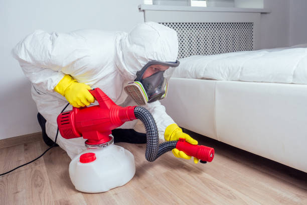 Best Best Pest Control Companies  in Rittman, OH
