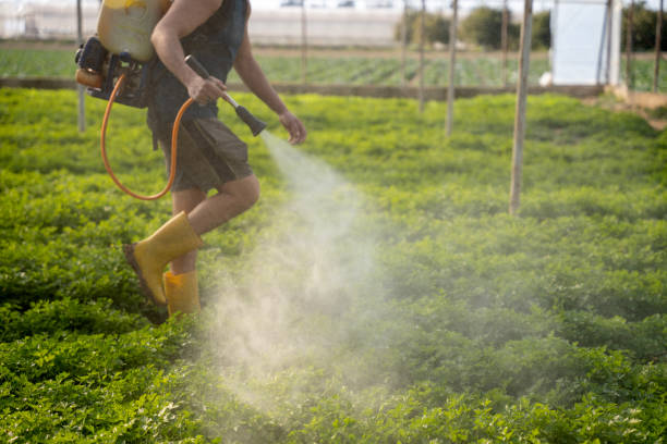 Best Ant Control Services  in Rittman, OH