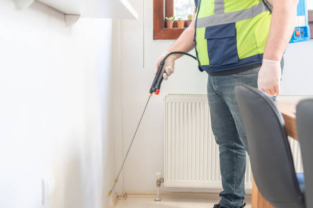 Best Termite Control Services  in Rittman, OH
