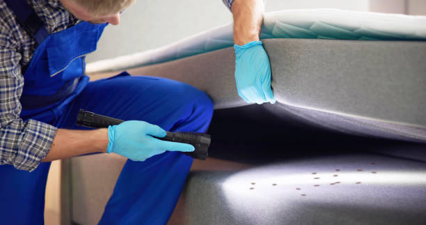 Best Residential Pest Control  in Rittman, OH