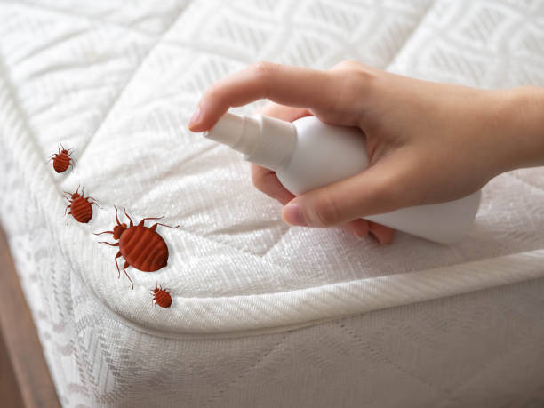 Best Pest Control Near Me in Rittman, OH