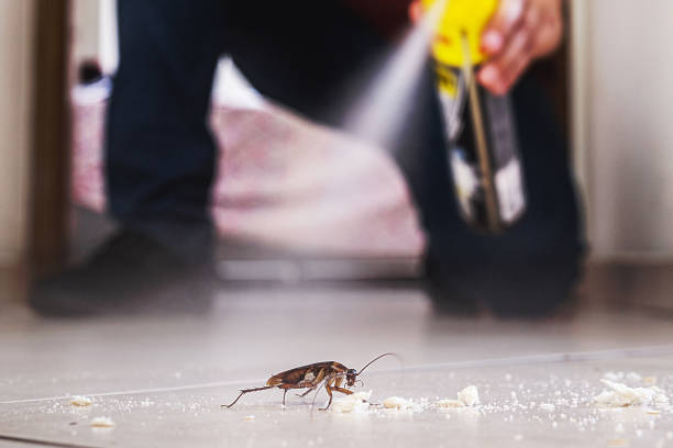 Best Best Pest Control Companies  in Rittman, OH