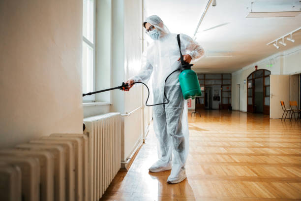 Best Local Pest Control Services  in Rittman, OH